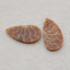 Natural Ammonite Fossil Earring Beads 24*13*3mm, 3.4g