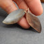 Natural Shell Carved leaf Earring Beads 49*19*4mm, 9.0g