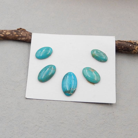 5 PCS Natural Turquoise Cabochons 18*11*3mm, 14*8*3mm, 5g