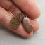 Natural Ammonite Fossil Earring Beads 24*13*3mm, 3.4g