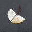 New! Carved Natural Stone Shell Leaf Shape Gemstone Earring Beads, Handmade Jewelry, Popular Earring Pair, 19x29x2mm, 2.1g