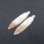 New! Carved Natural Stone Shell Leaf Shape Gemstone Earring Beads, Drilled Cabochons, Popular Earring Pair, 40x9x1mm, 1.8g