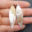 New! Carved Natural Stone Shell Leaf Shape Gemstone Earring Beads, Drilled Cabochons, Popular Earring Pair, 46x12x2mm, 4g