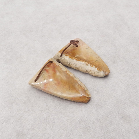 Nugget (Rough Sides) Natural Indonesian Fossil Coral Double Hole Gemstone Earring Beads,36x25x5mm, 12g