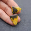 Natural Bumblebee Jasper Earring Beads 25*19*3mm, 6.9g