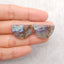 New 1 Pair Natural Flash Labradorite Double Hole Gemstone Earrings, Gem Jewelry Gift, Customized Gemstone Earring Pair, 25×21×3mm, 4.4g