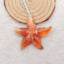 Natural Red Agate Starfish Shape Pendant Bead, Gemstone For Jewelry DIY Making, 45×48×8mm, 13.3g