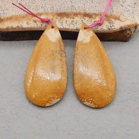 Natural Palm Root Stone Earring Beads 41x22x6mm, 14.6g