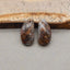 Natural Leopard Skin Jasper Earring Beads 22*11*5mm, 4.0g