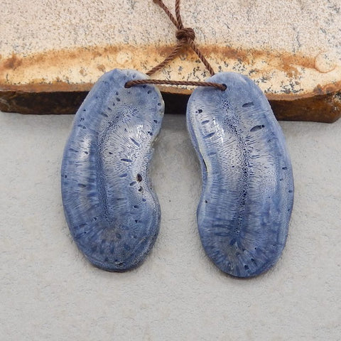 Natural Blue Coral Earring Beads 38*19*4mm, 8.9g