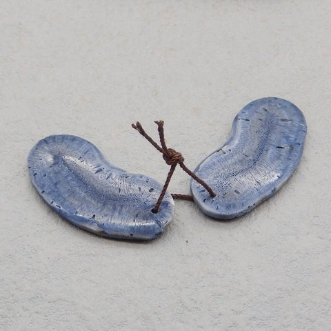 Natural Blue Coral Earring Beads 38*19*4mm, 8.9g