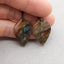 Natural Labradorite Carved leaf Earring Beads 29x17x4mm, 6.1g