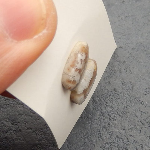 Natural Crazy Lace Agate Cabochons Paired 14*7*3mm, 1.9g