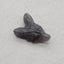 Natural Obsidian Carved wolf head Pendant Bead 21x16x8mm, 2.6g