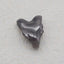 Natural Obsidian Carved wolf head Pendant Bead 21x16x8mm, 2.6g