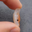 Natural Red Agate Carved wolf head Pendant Bead 23*16*9mm, 3.6g