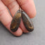 Natural Mushroom Jasper Earring Beads 34*13*4mm, 5.4g