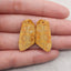 Nugget (Rough Sides) Natural Indonesian Fossil Coral Gemstone Earring Beads