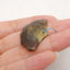 New 1 PC Natural Flash Labradorite Gemstone Shell Shape Pendant, Gem Jewelry Gift, 21×35×4mm, 5.1g