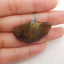 New 1 PC Natural Flash Labradorite Gemstone Shell Shape Pendant, Gem Jewelry Gift, 21×35×4mm, 5.1g