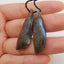 New 1 Pair Natural Flash Labradorite Gemstone Earrings, Gem Jewelry Gift, Gemstone Earring Pair, 37×13×4mm, 5.7g