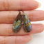 New 1 Pair Natural Flash Labradorite Gemstone Earrings, Gem Jewelry Gift, Gemstone Earring Pair, 26×11×3mm, 2.6g