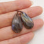 New 1 Pair Natural Flash Labradorite Gemstone Earrings, Gem Jewelry Gift, Customized Gemstone Earring Pair, 25×13×4mm, 3.4g