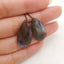 New 1 Pair Natural Flash Labradorite Gemstone Earrings, Gem Jewelry Gift, Customized Gemstone Earring Pair, 25×13×4mm, 3.4g