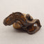 Natural Boulder Opal Carved lizard 47x88x49mm, 147.9g