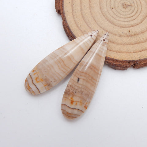 Natural Wood Fossil Earring Beads 43x13x5mm, 8.4g