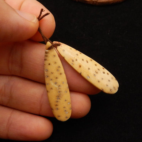 Natural Coconut Fossil Earring Beads 40*11*4mm, 4.9g