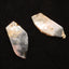 Natural Pink Opal Earring Beads 45*20*3mm, 7.0g