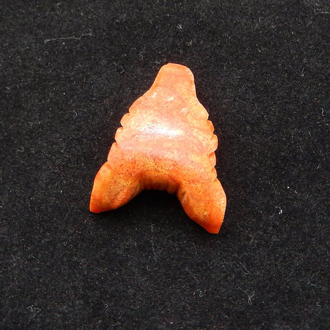 Natural Red Coral Carved wolf head Pendant Bead 29*21*11mm, 4.7g