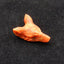 Natural Red Coral Carved wolf head Pendant Bead 29*21*11mm, 4.7g