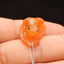 Natural Red Agate Carved frog Pendant Bead 28*20*18mm, 10.0g