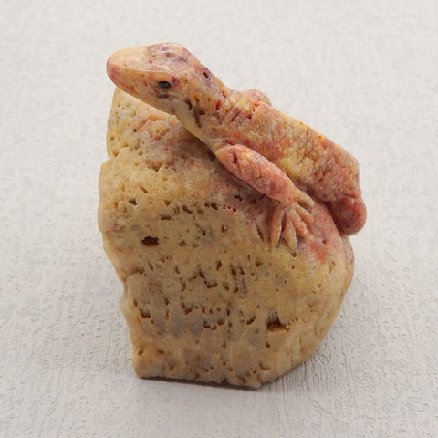 Natural Coral Carved lizard 64x41x39mm, 156.5g