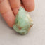 Natural Chrysoprase Carved lizard Pendant Bead 43x29x20mm, 21.1g - Gomggsale