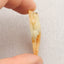 Natural Amazonite Carved Lizard Pendant Bead 47*22*9mm, 9.0g