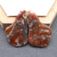 Nugget (Rough Sides)  Warring States Red Agate Gemstone Earring Beads, Drilled Gemstone Pair,  44×29×6mm,16.4g