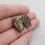 New 1 Pair Natural Flash Labradorite Gemstone , Gem Jewelry Gift, , 19×15×6mm, 6.1g