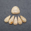 6 PCS Natural Indonesian Coral Cabochons,Drilled Flatback Pendant, Handmade Jewelry,15x3mm,14x7x3mm, 3.5g