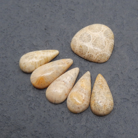 6 PCS Natural Indonesian Coral Cabochons,Drilled Flatback Pendant, Handmade Jewelry,15x3mm,14x7x3mm, 3.5g