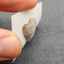 Natural Crazy Lace Agate Cabochon 21*18*5mm, 3.6g