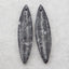 Natural Chrysanthemum Fossil Earring Beads 38*9*3mm, 4.3g