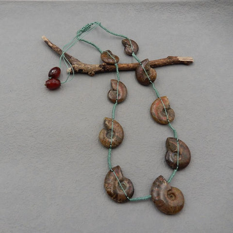 Natural Ammonite Fossil Pendant Beads for Necklace