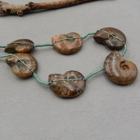 Natural Ammonite Fossil Pendant Beads for Necklace