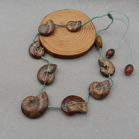 Natural Ammonite Fossil Pendant Beads for Necklace