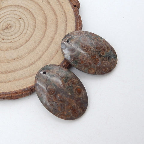 Natural Rhyolite Bird's Eye Jasper Earring Beads 25x18x4mm, 6.3g