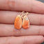 Natural Shell Gemstone Earring Beads,Drill Earring Pair