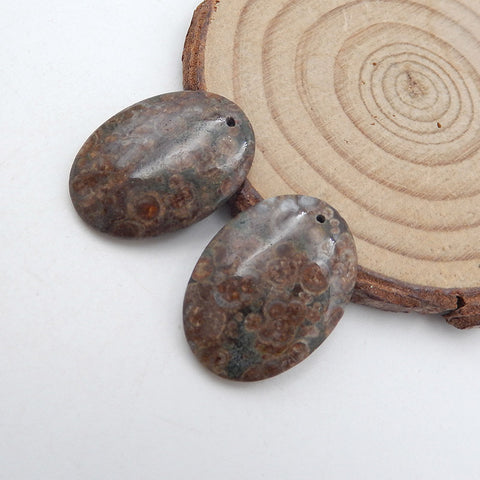 Natural Rhyolite Bird's Eye Jasper Earring Beads 25x18x4mm, 6.3g